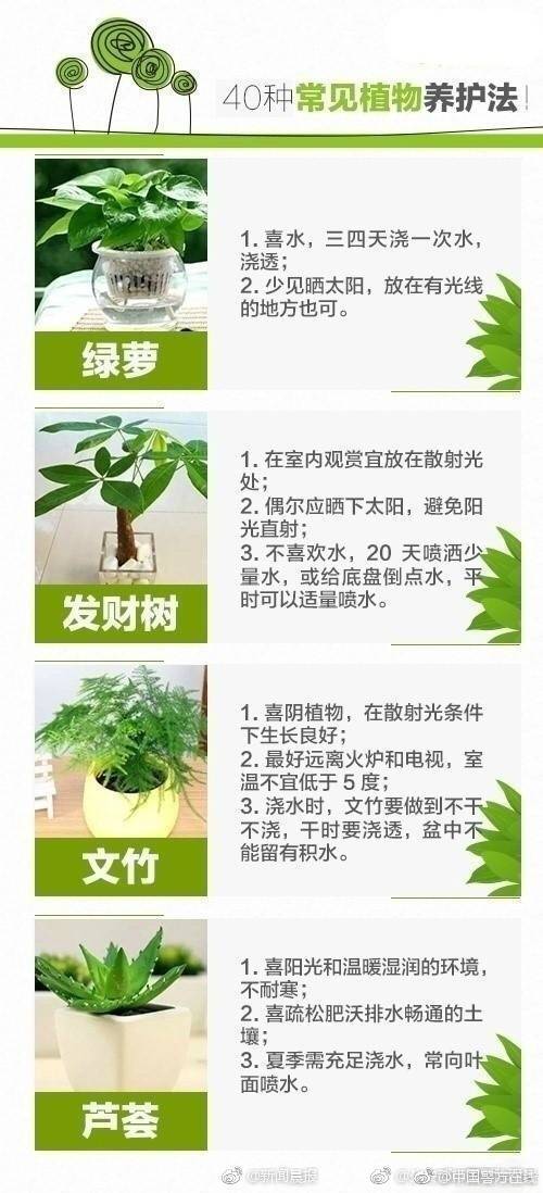 新澳门免费资料大全历史记录开马|精选解释解析落实